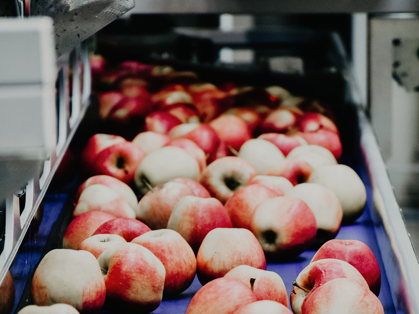 Detecção por radar na produção de suco de frutas