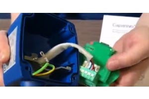 ¿Cómo acortar un cable Capanivo®?