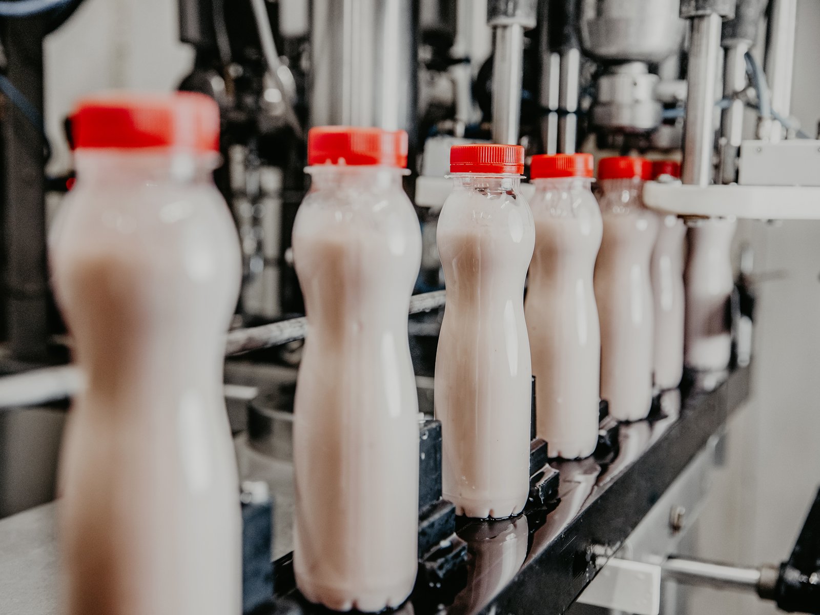 Molkerei Abfüllung Joghurt Milch Milchshake