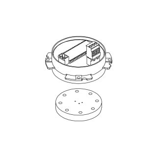 Electronic module