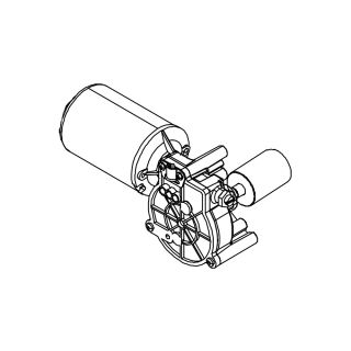 Motor Estándar