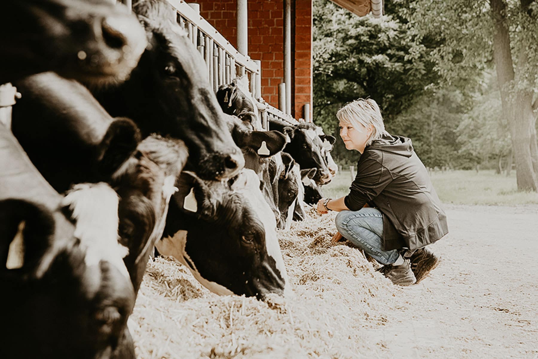 Kapazitive Füllstandsmessung in Mischern der Tierfutterherstellung 