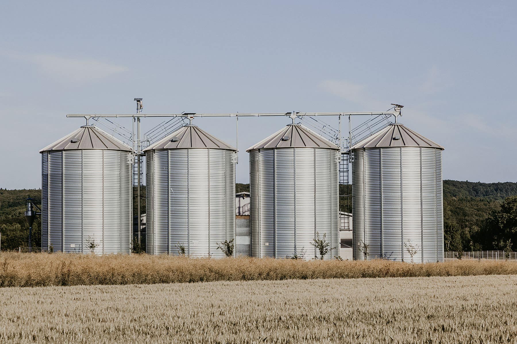 Diferentes procesos en la manipulación de materiales sólidos para la producción de alimentos para animales