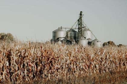 Rotary paddle in material handling processes of the grain industry