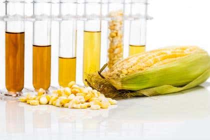 TDR in ethanol 